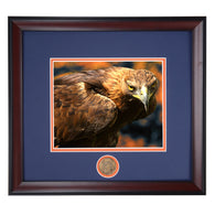 Auburn Tigers Football War Damn Eagle I Jordan Hare Stadium