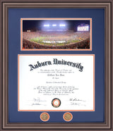 Panoramic 2019 "Rush the Field" Iron Bowl Diploma Frame