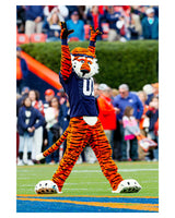 Aubie Images Framed Small