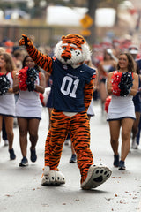 Aubie Images Framed Small