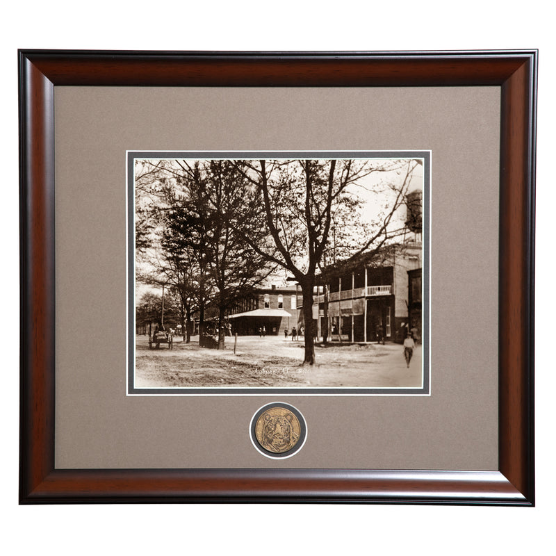 LM2-wcn_800x.jpg?v=1733096896