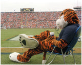 Aubie Images Framed Small