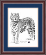 Fear the Tiger by Stephen Malkoff