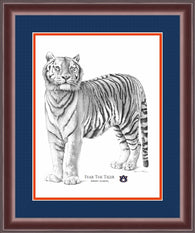Fear the Tiger by Stephen Malkoff
