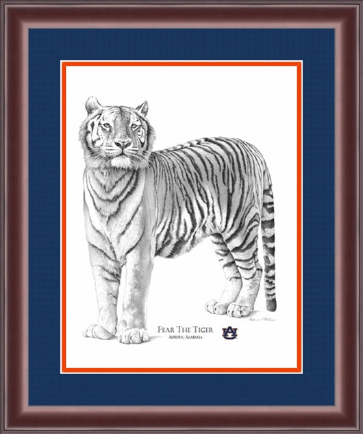 Fear the Tiger by Stephen Malkoff