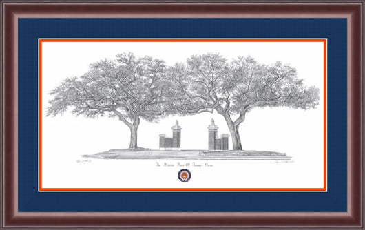 Toomers Oak Drawing by Stephen Malkoff