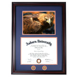 Diploma Frame with Full Size Picture (Current Size)