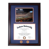 Diploma Frame with Full Size Picture (Current Size)