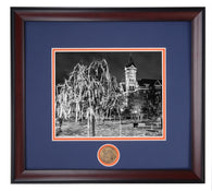 Toomer's Corner After 2019 Iron Bowl Win 1