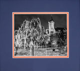 Toomer's Corner After 2019 Iron Bowl Win 1