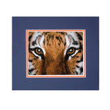 Auburn Football Tiger Eyes Framed Photo