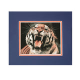 Auburn Tiger Mascot Framed Photo