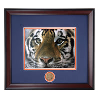Auburn Tiger Preying Eyes Framed Mascot Photo