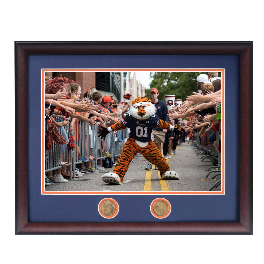 Aubie at Tiger Walk Framed Photographic Print – Auburn Art